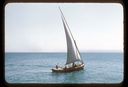 Arabia2C_Red_Sea2C_Sailboat_z.jpg