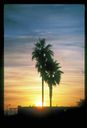 CA2C_San_Diego2C_Sunset2C_2000_z.jpg
