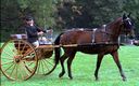 NJ2C_Colts_Neck2C_Doorbrook2C_Horse___Carriage_at_Dorbrook_Park__7_Aug2000_copy_z.jpg