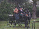 NJ2C_Colts_Neck2C_Horse_and_Carriage_at_Dorbrook_Park2C_CN_Sept2000_z.jpg